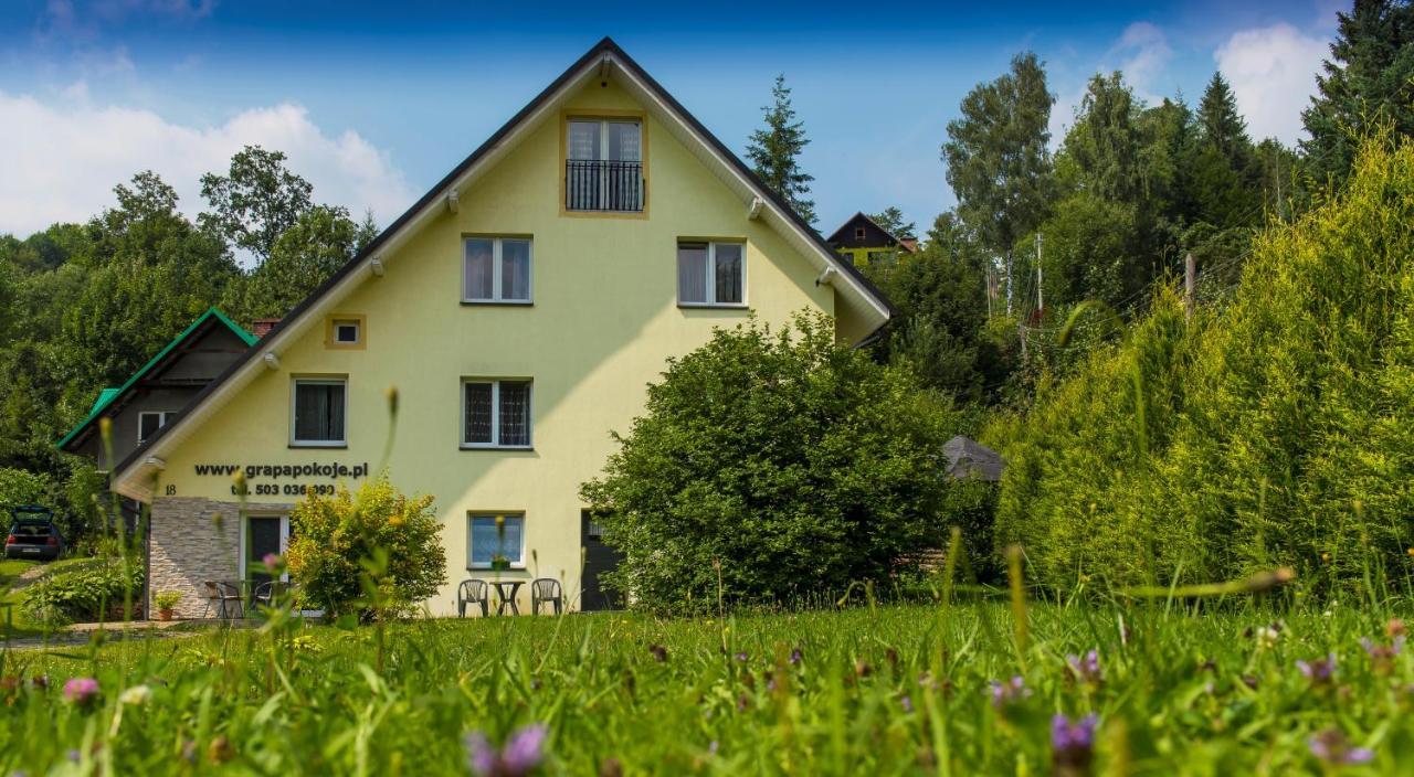 Apartamenty Grapa Szum Rzeki Parking Free Wisła Εξωτερικό φωτογραφία