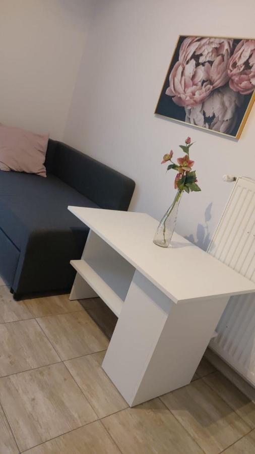 Apartamenty Grapa Szum Rzeki Parking Free Wisła Εξωτερικό φωτογραφία