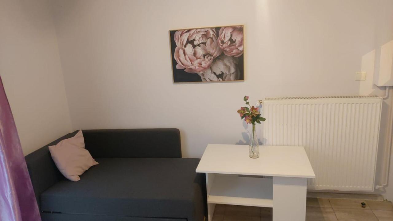 Apartamenty Grapa Szum Rzeki Parking Free Wisła Εξωτερικό φωτογραφία