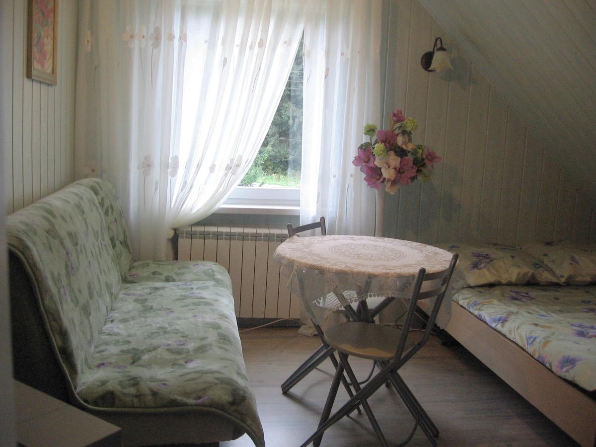 Apartamenty Grapa Szum Rzeki Parking Free Wisła Εξωτερικό φωτογραφία
