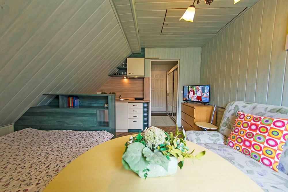 Apartamenty Grapa Szum Rzeki Parking Free Wisła Εξωτερικό φωτογραφία