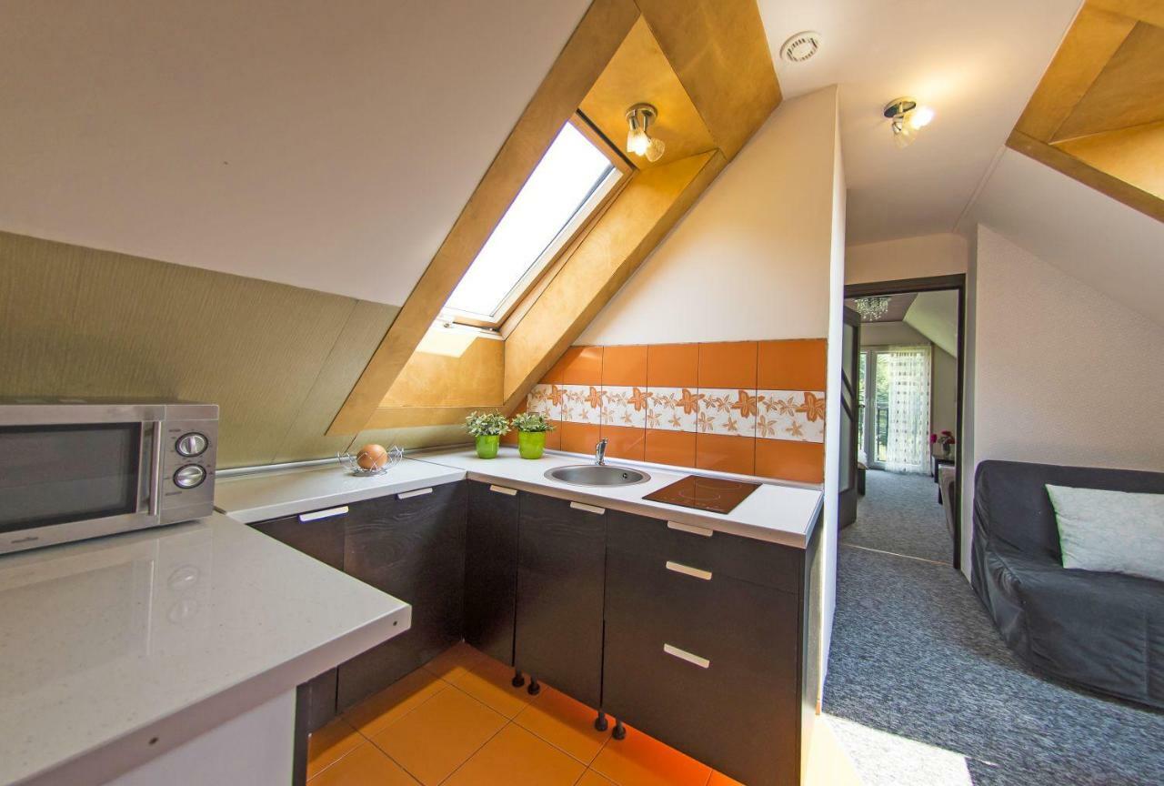 Apartamenty Grapa Szum Rzeki Parking Free Wisła Εξωτερικό φωτογραφία