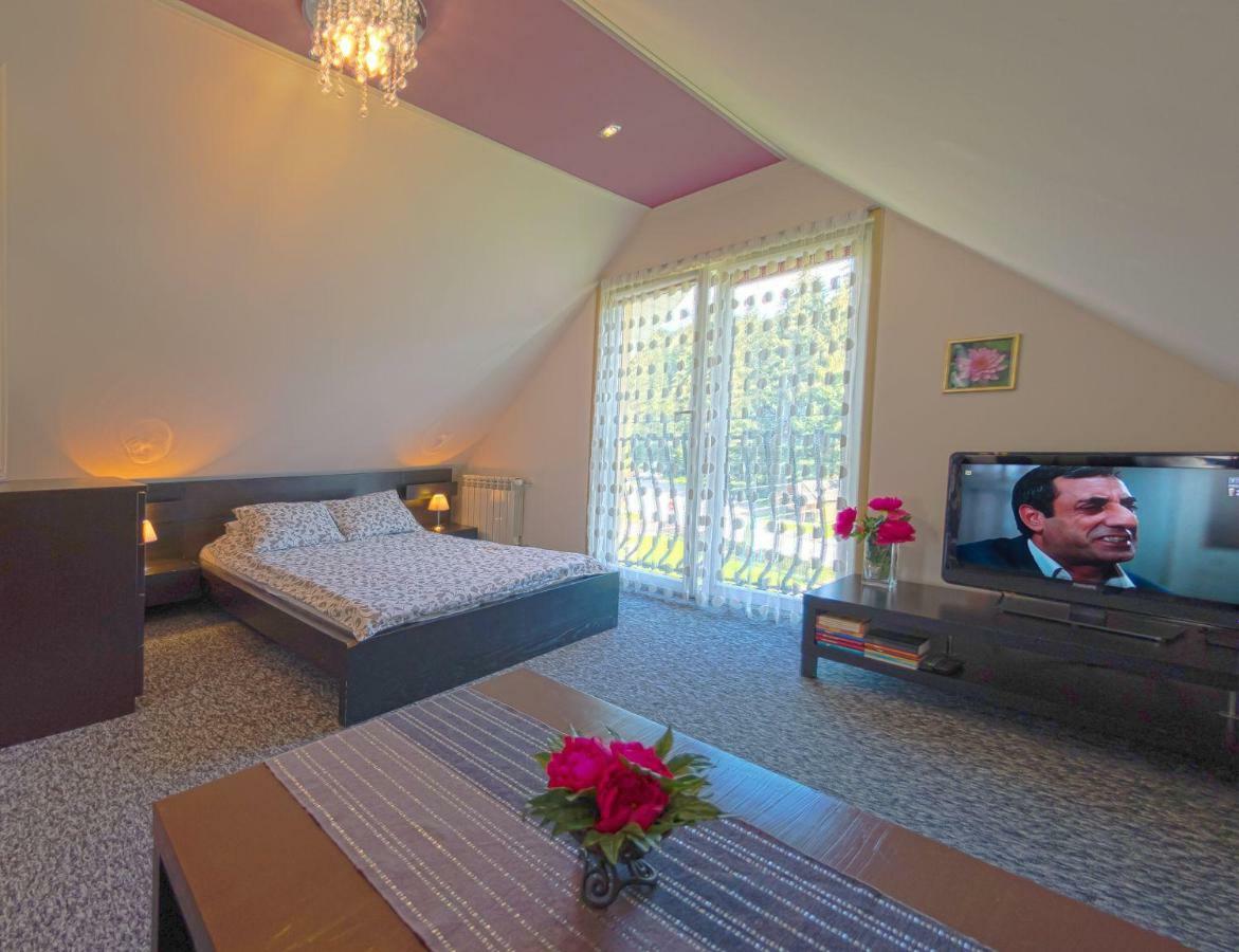 Apartamenty Grapa Szum Rzeki Parking Free Wisła Εξωτερικό φωτογραφία