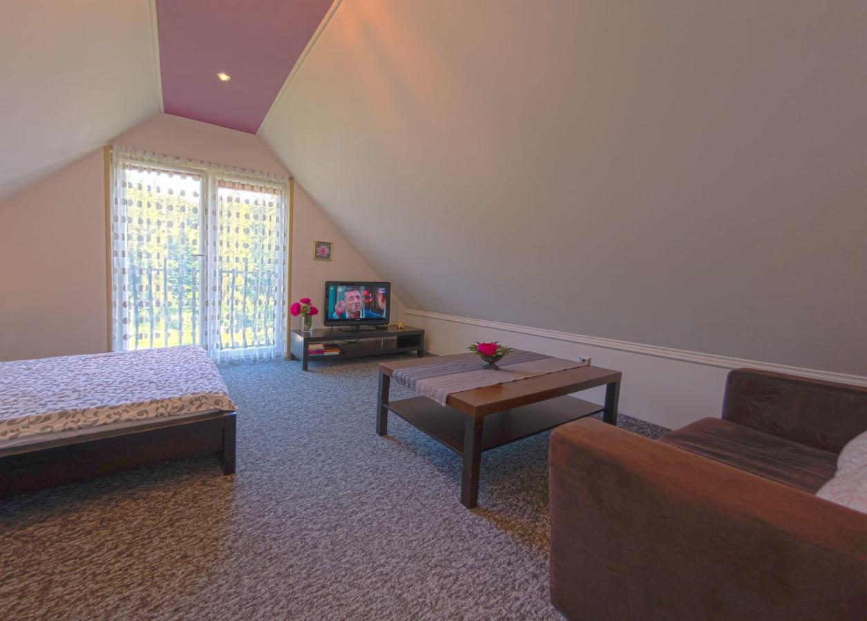 Apartamenty Grapa Szum Rzeki Parking Free Wisła Εξωτερικό φωτογραφία